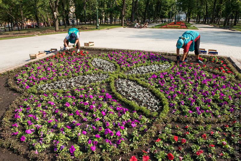 У Харкові масово реконструюють парки та сквери