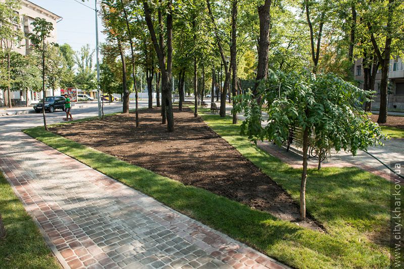 У Харкові масово реконструюють парки та сквери