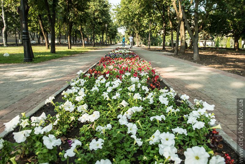 У Харкові масово реконструюють парки та сквери