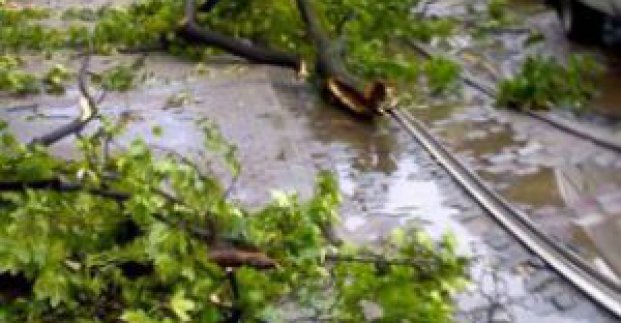У Харкові усувають наслідки вчорашньої стихії