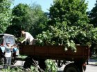 У Харкові пройдуть загальноміські суботники (оновлено)