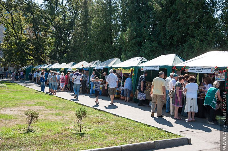 У саду імені Шевченка відкрився ярмарок «Свято меду»