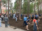 35 тисяч чоловік приводили Харків до ладу до Дня міста