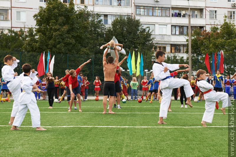 У гімназії №172 відкрили новий спортмайданчик