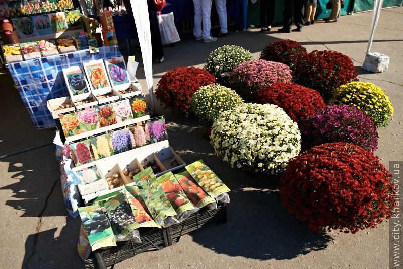 У Харкові відкрився ярмарок «На Покрову»