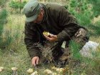 28 харків'ян звернулися до лікарень з підозрою на отруєння грибами