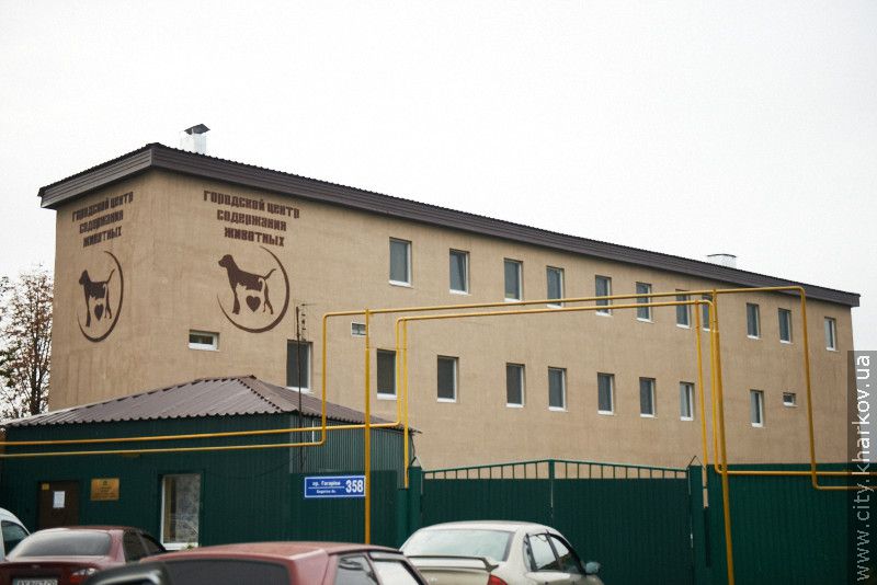 Британські фахівці проводять семінар з контролю чисельності безпритульних тварин