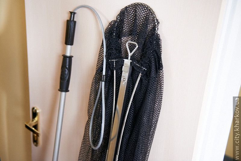 Британські фахівці проводять семінар з контролю чисельності безпритульних тварин