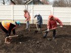 У Харкові цього року висадили майже півтори тисячі дерев