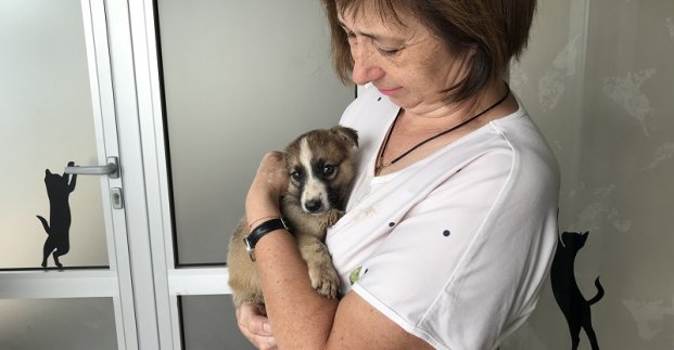 Понад 2 тисяч мешканців Роганського житлового масиву взяли участь у святі Хрещення Господнього